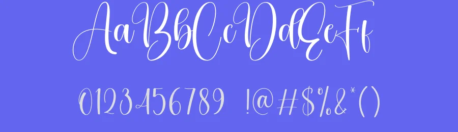 Bachelorette Calligraphy Font by creativeletter — Script Handwritten Font — thumbnail 3