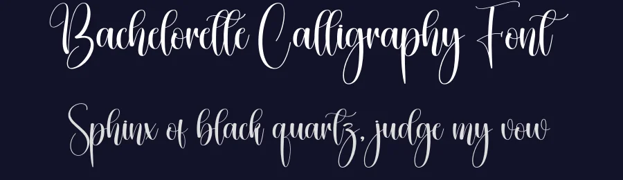 Bachelorette Calligraphy Font by creativeletter — Script Handwritten Font — thumbnail 2