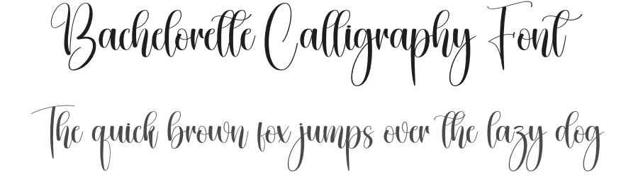 Bachelorette Calligraphy Font by creativeletter — Script Handwritten Font