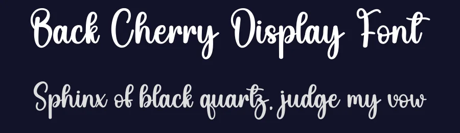 Back Cherry Display Font by andikastudio — Script Handwritten Font — thumbnail 2