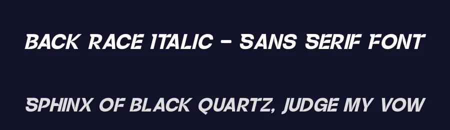 Back Race Italic – Sans Serif Font by timelesstype.co — Display Font — thumbnail 2