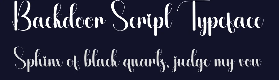 Backdoor Script Typeface by creativeletter — Script Handwritten Font — thumbnail 2