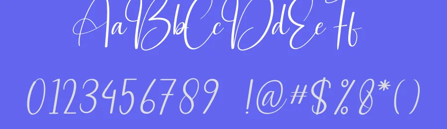 Background Signature Script Font by creativeletter — Script Handwritten Font — thumbnail 3