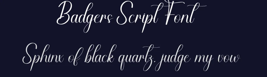 Badgers Script Font by creativeletter — Script Handwritten Font — thumbnail 2