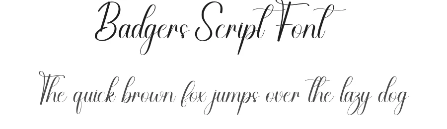 Badgers Script Font by creativeletter — Script Handwritten Font