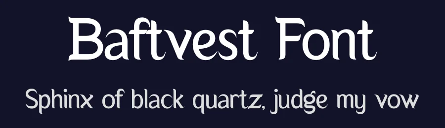 Baftvest Font by Storytype — Serif Font — thumbnail 2