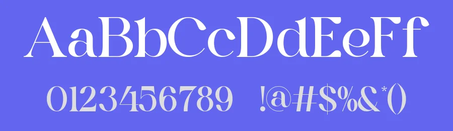 Bagevo || Modern Classy Serif Font by ErmediaStudio — Display Font — thumbnail 3