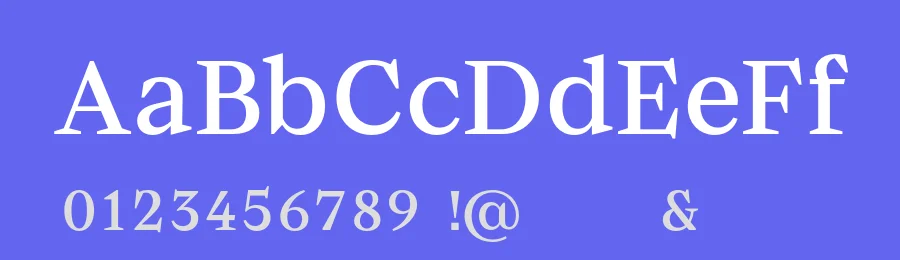 Baghira Font Family by Identity Letters — Serif Font — thumbnail 3
