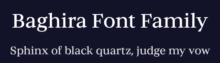 Baghira Font Family by Identity Letters — Serif Font — thumbnail 2