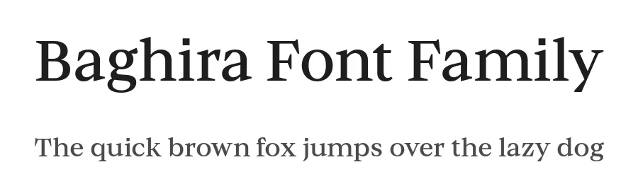 Baghira Font Family by Identity Letters — Serif Font
