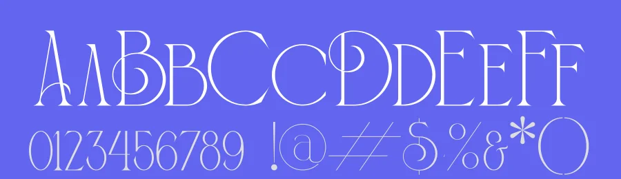 BAGISKO Display Font by Storytype — Serif Font — thumbnail 3