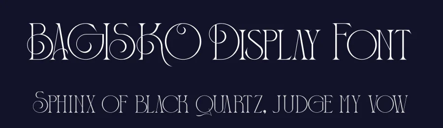 BAGISKO Display Font by Storytype — Serif Font — thumbnail 2