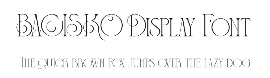 BAGISKO Display Font by Storytype — Serif Font