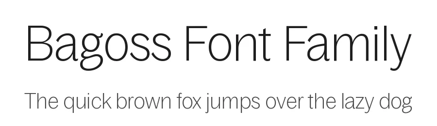 Bagoss Font Family by Daniel Quisek — Display Font