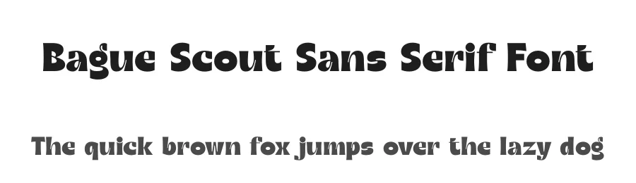 Bague Scout Sans Serif Font by timelesstype.co — Display Font
