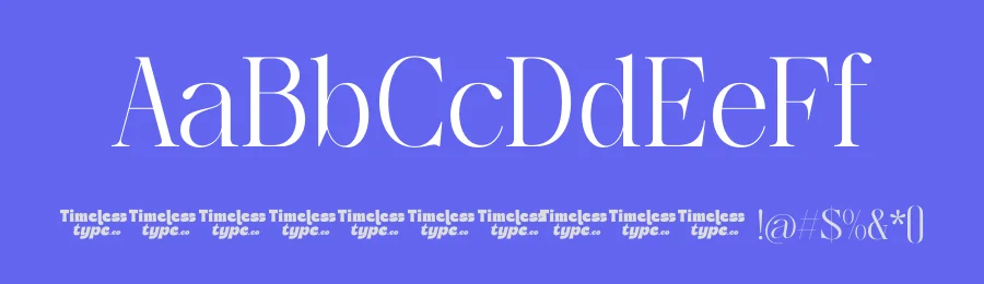 Bagvan Anstic Font by timelesstype.co — Serif Font — thumbnail 3