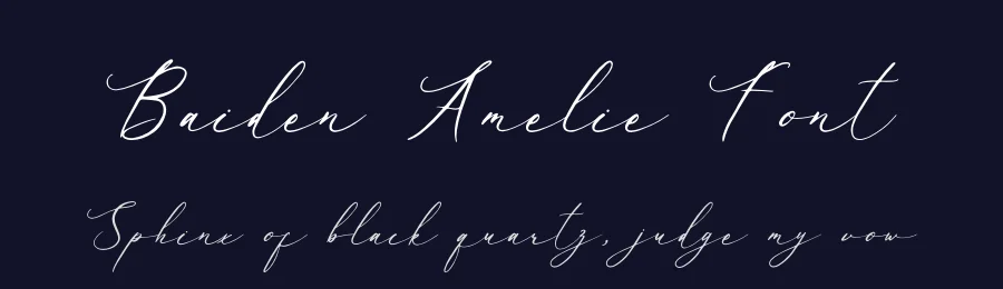 Baiden Amelie Font by letterenastudios — Script Handwritten Font — thumbnail 2