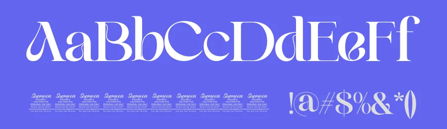 Baik Font by saemoon creative — Serif Font — thumbnail 3
