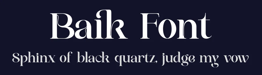 Baik Font by saemoon creative — Serif Font — thumbnail 2