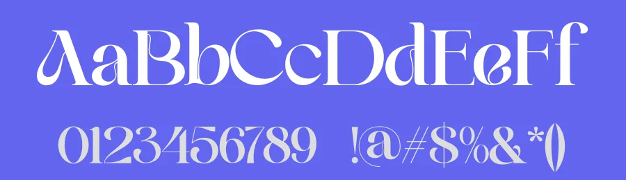 Baik Serif Font by zaain type — Serif Font — thumbnail 3