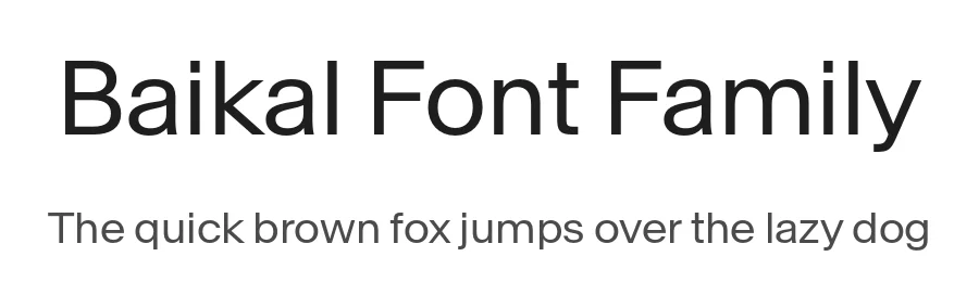 Baikal Font Family by newglyph β Decorative Font