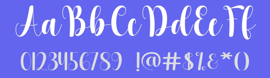 Bailey Calligraphy Font by DN Creative — Script Handwritten Font — thumbnail 3