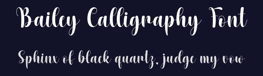 Bailey Calligraphy Font by DN Creative — Script Handwritten Font — thumbnail 2