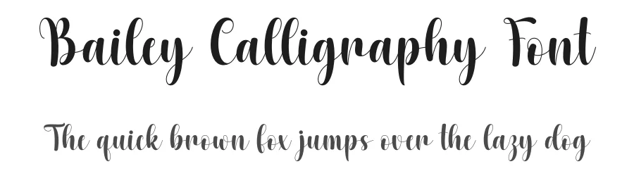 Bailey Calligraphy Font by DN Creative — Script Handwritten Font