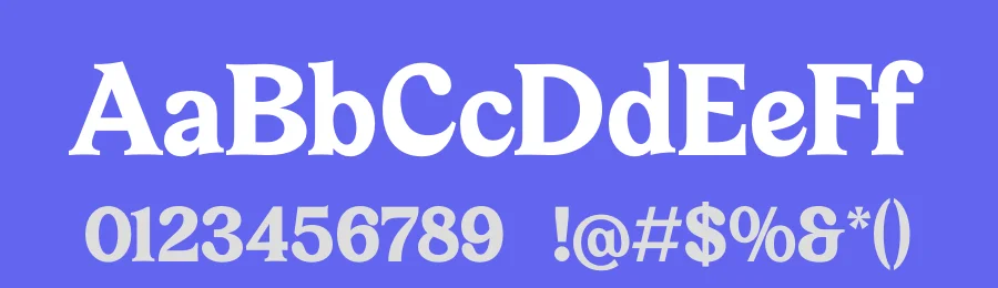 Bailey Retora – Groovy Serif Font by timelesstype.co — Display Font — thumbnail 3