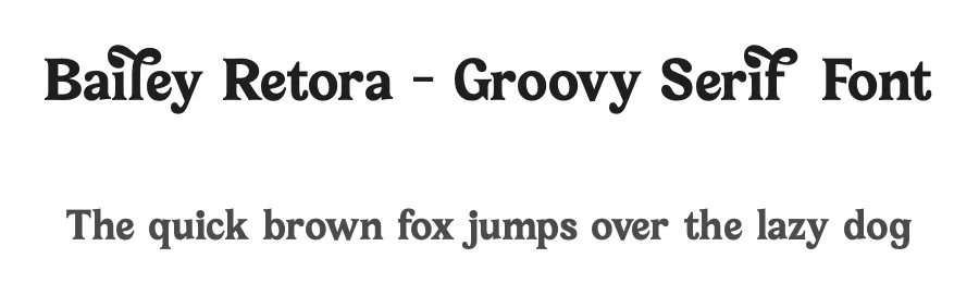 Bailey Retora – Groovy Serif Font by timelesstype.co — Display Font