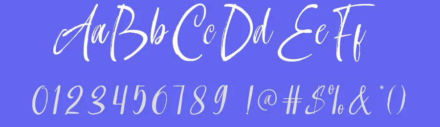 Bainca Ariella Font by noahtype — Script Handwritten Font — thumbnail 3