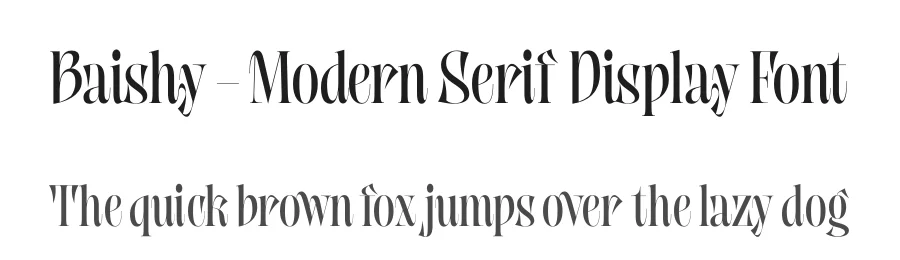 Baishy – Modern Serif Display Font by timelesstype.co — Display Font