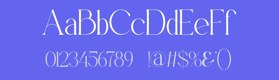 Baiston Font by ErmediaStudio — Serif Font — thumbnail 3