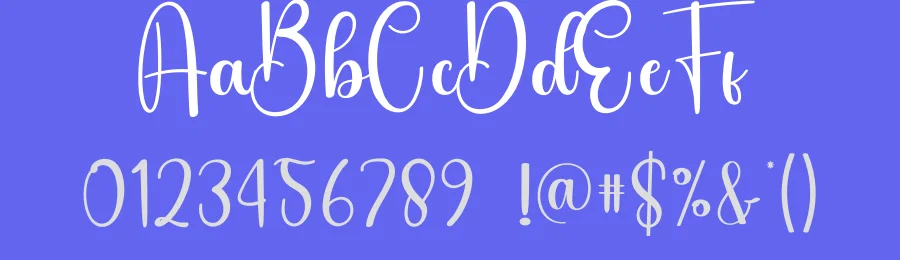 Bakery Calligraphy Typeface by creativeletter — Script Handwritten Font — thumbnail 3