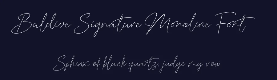 Baldive Signature Monoline Font by balpirick — Decorative Font — thumbnail 2