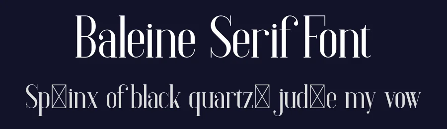 Baleine Serif Font by vp_creative_shop — Serif Font — thumbnail 2