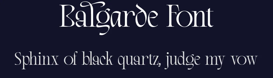 Balgarde Font by RNDI TypeFoundry — Serif Font — thumbnail 2