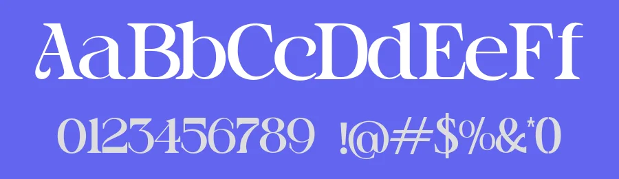 Balldoug Font by Qweera Studio — Serif Font — thumbnail 3