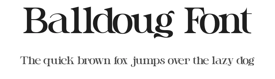 Balldoug Font by Qweera Studio β Serif Font