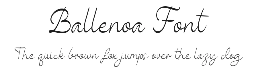 Ballenoa Font by Lettermine — Script Handwritten Font