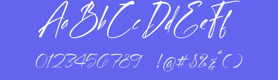Ballersin Chyntia – Modern Handwritten Font by letterenastudios — Serif Font — thumbnail 3
