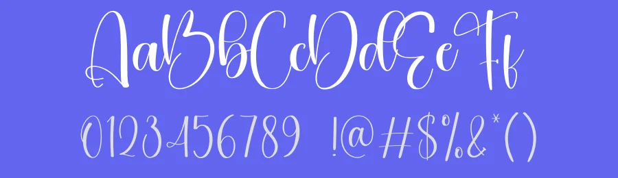 Balusters Calligraphy Font by creativeletter — Script Handwritten Font — thumbnail 3
