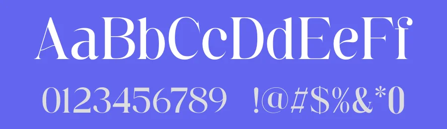 Bamine Font by TypeLogue — Serif Font — thumbnail 3