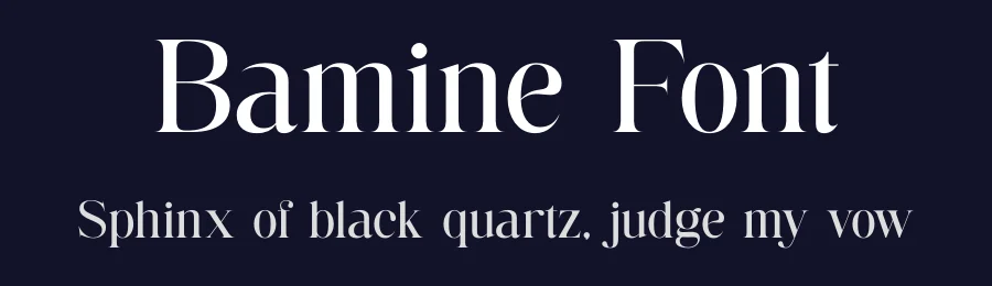 Bamine Font by TypeLogue — Serif Font — thumbnail 2