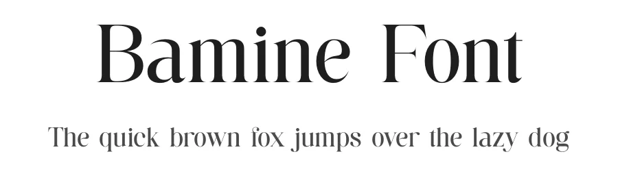Bamine Font by TypeLogue — Serif Font