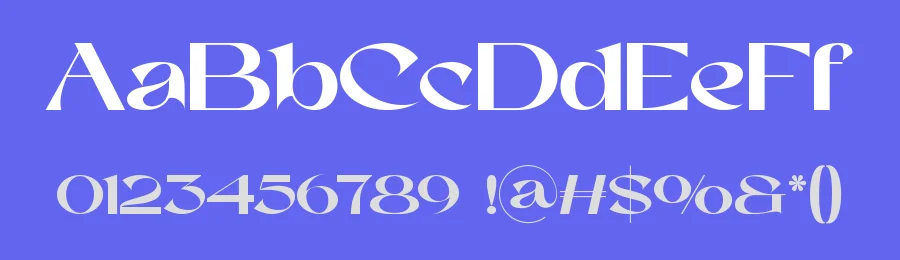 Baner – Sans Luxury Typeface by Maiko Hatta — Decorative Font — thumbnail 3