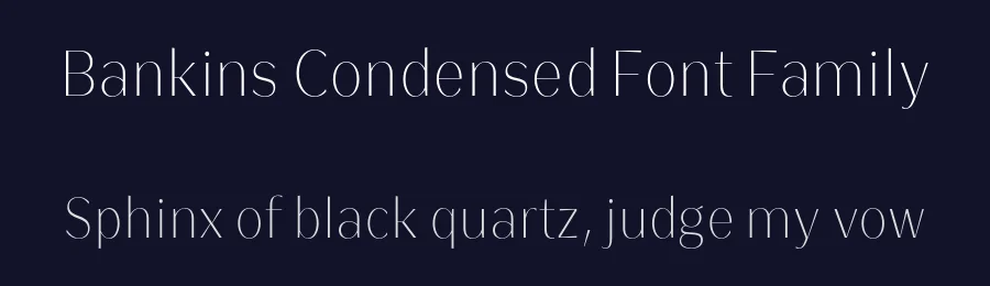 Bankins Condensed Font Family by Akbartype — Sans Serif Font — thumbnail 2
