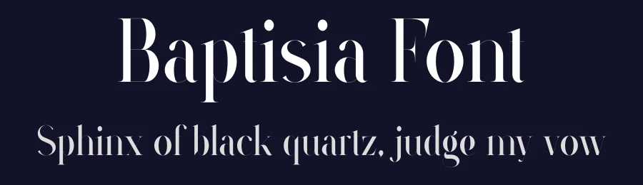 Baptisia Font by vpcreativeshop — Display Font — thumbnail 2