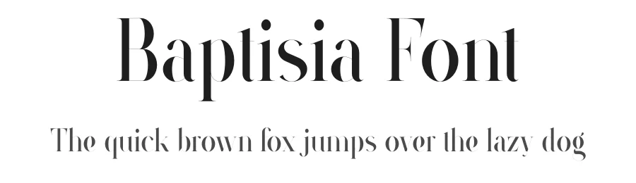 Baptisia Font by vpcreativeshop — Display Font