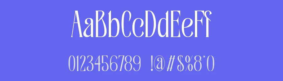 Baquine || Classy Serif Display Font by ErmediaStudio — Display Font — thumbnail 3